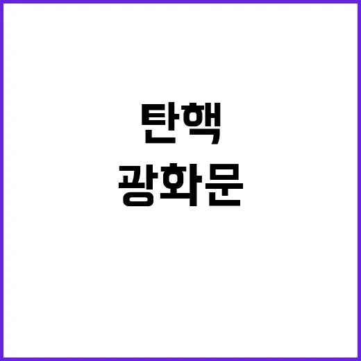 탄핵 논쟁 광화문 …