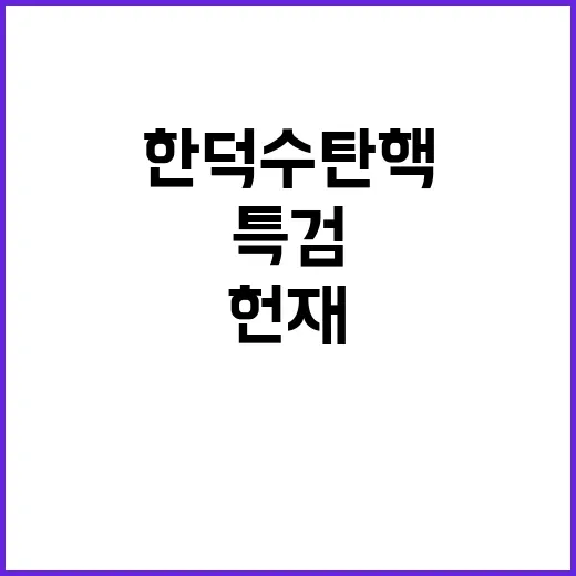 특검 헌재 민주당 …