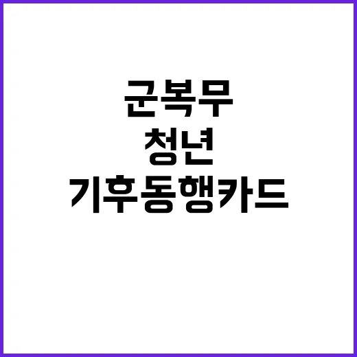 일출의 마법 군밤 …