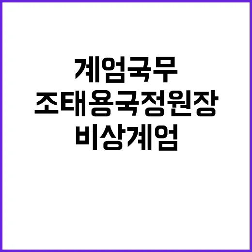 검찰 비상계엄 국무…