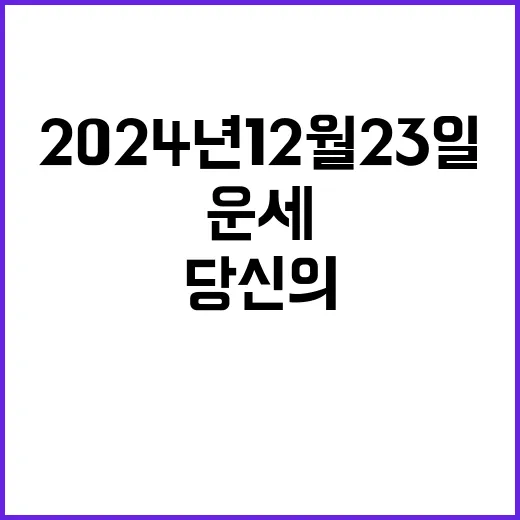 운세 비밀 2024…