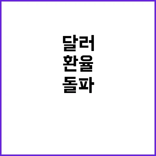 달러 위안화 환율 …