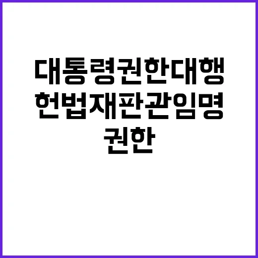 대통령 권한대행 헌…