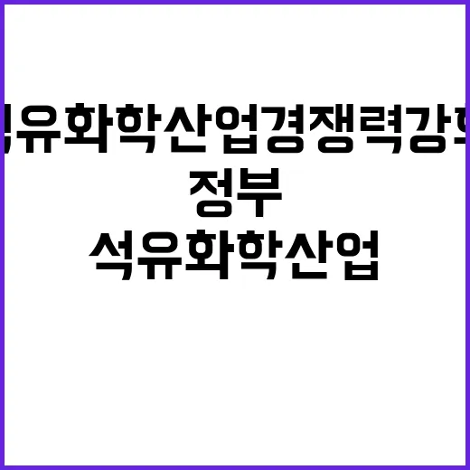 정부 결정 석유화학…