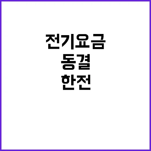 한전 동결 전기요금…