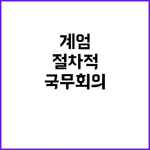 계엄 전 국무회의 …