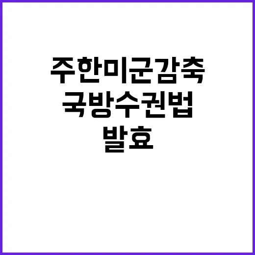 주한미군 감축 불가…