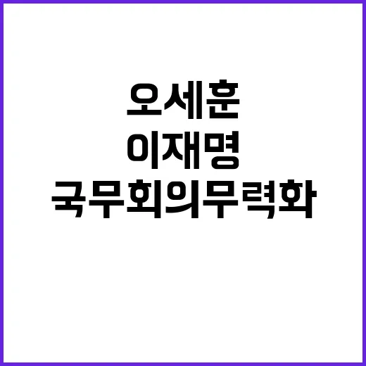 민주당 국무회의 무…