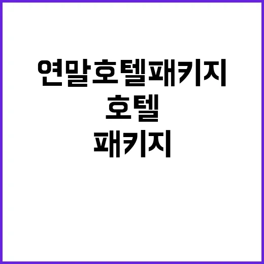 연말 호텔 패키지 …