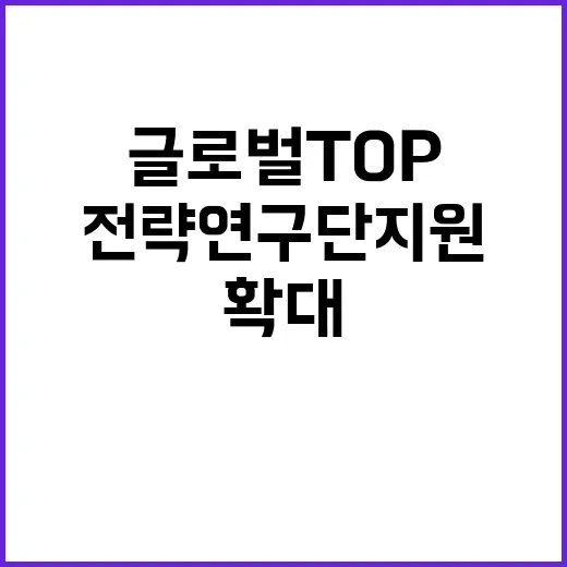 글로벌 TOP 전략…