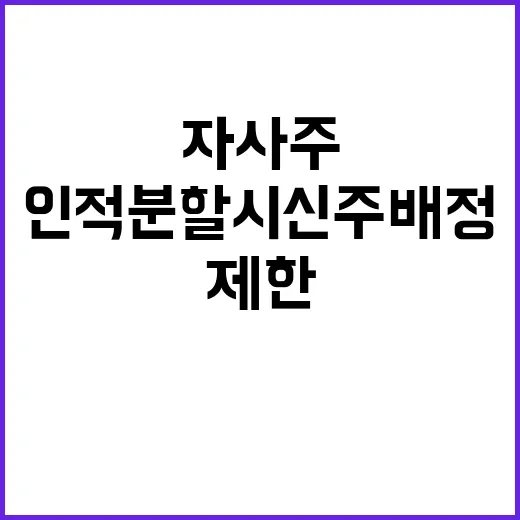 자사주 제한 인적분…