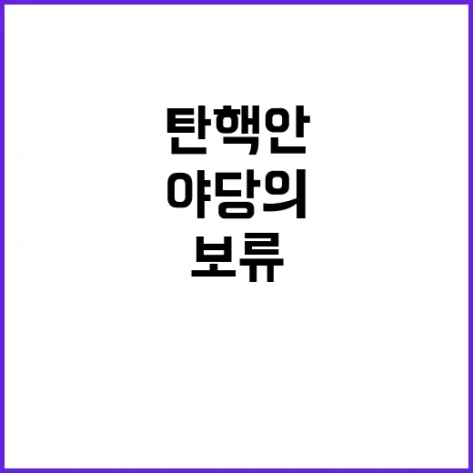 탄핵안 보류 야당의…