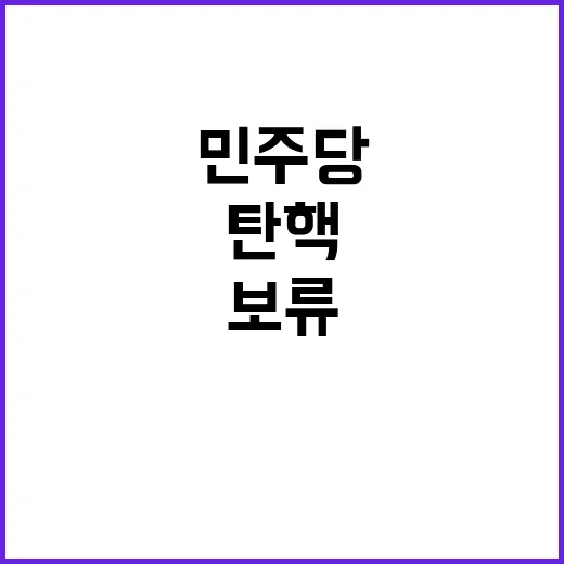 탄핵 보류 민주당 …