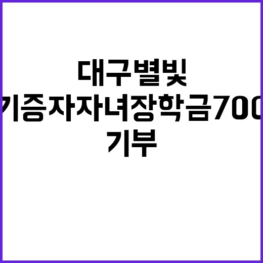 기부 뇌사기증자 자…