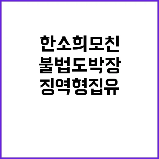 한소희 모친 불법 …