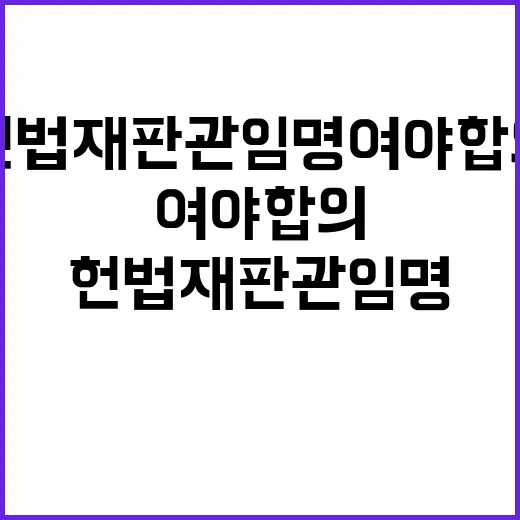 헌법재판관 임명 여야 합의의 중요성!