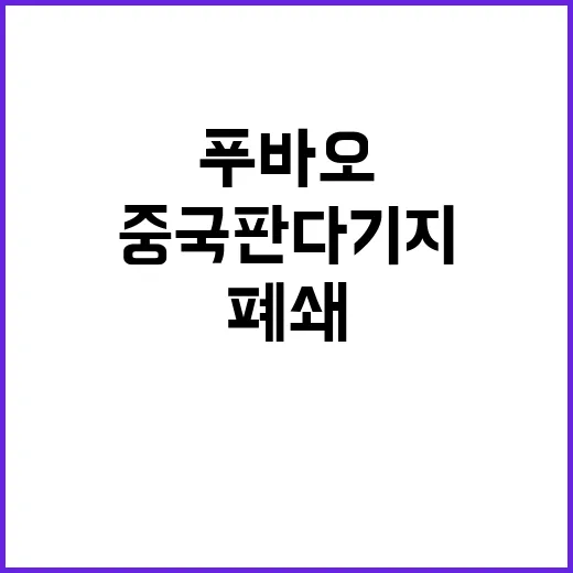 푸바오 중국 판다 …