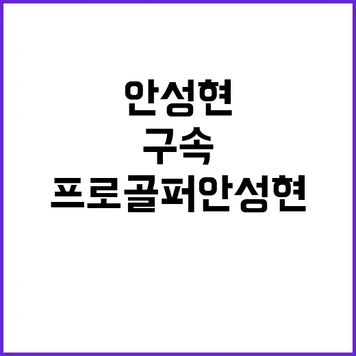 프로골퍼 안성현 뒷…