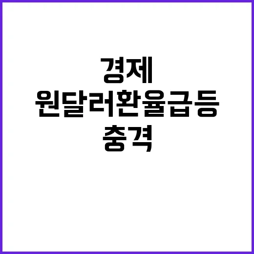 원달러 환율 급등 …