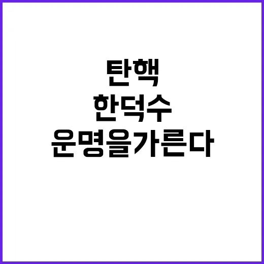 한덕수 탄핵 헌재 …