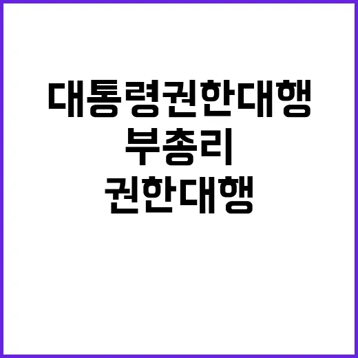 대통령 권한대행 부…