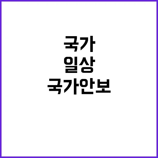 국가 안보 일상과 …