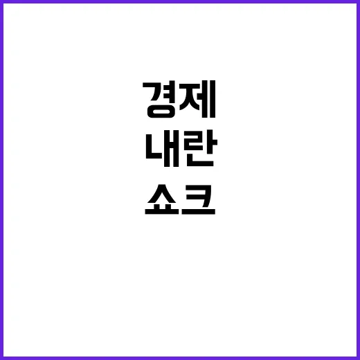 환율 쇼크 내란 리…