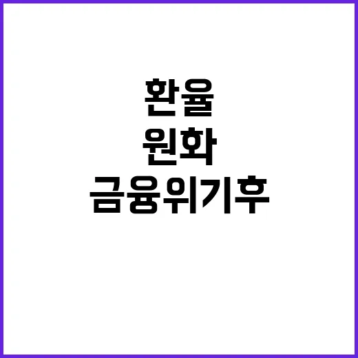 환율 급등 금융위기…