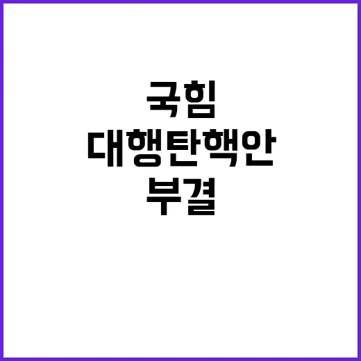 국힘 韓 대행 탄핵…