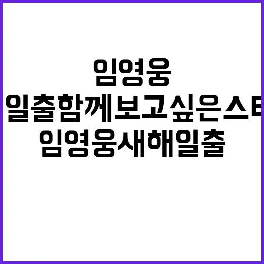 임영웅 새해 일출 …