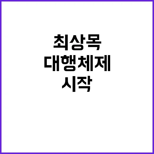 계엄 최상목 대행체…