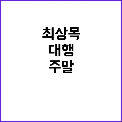 최상목 대행 주말 …