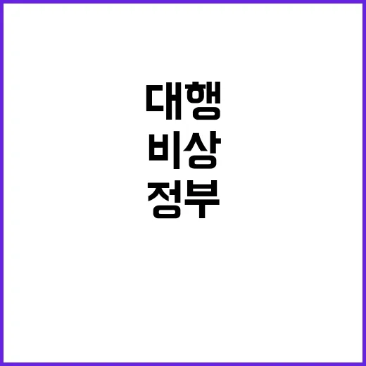 비상 대행의 결단 …