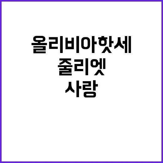 올리비아 핫세 사랑…