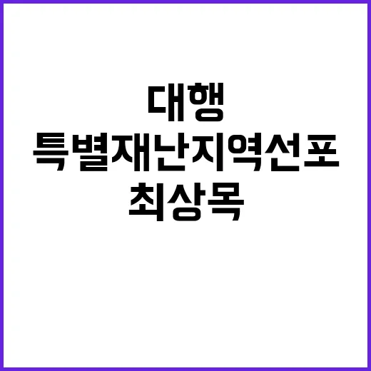 특별재난지역 선포 …