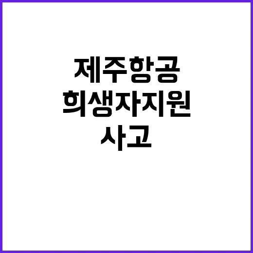 제주항공 사고 희생…