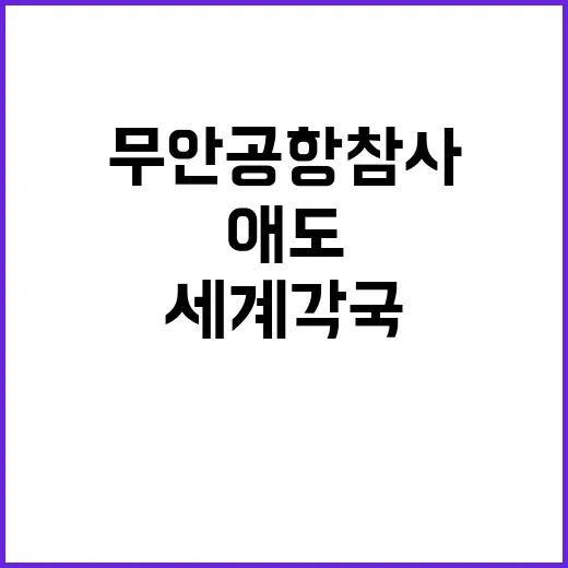 무안공항 참사 세계…