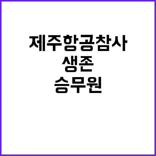 제주항공 참사 생존…