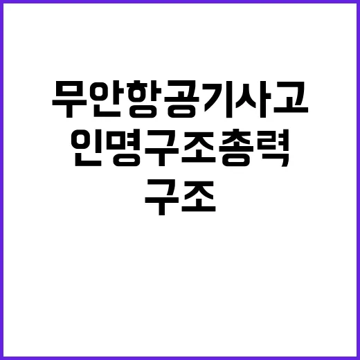 무안 항공기 사고 …