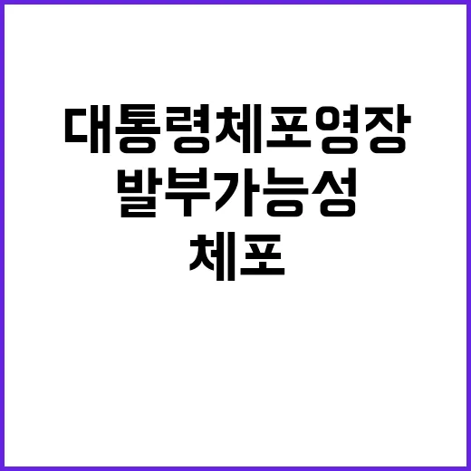 대통령 체포 영장 …