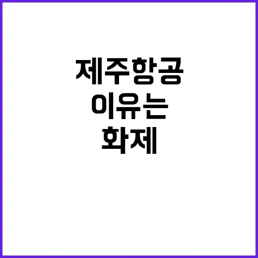 제주항공 직장인 커…