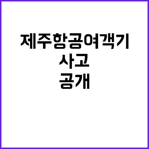 제주항공 여객기 과…