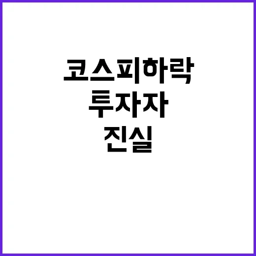 코스피 하락 투자자…