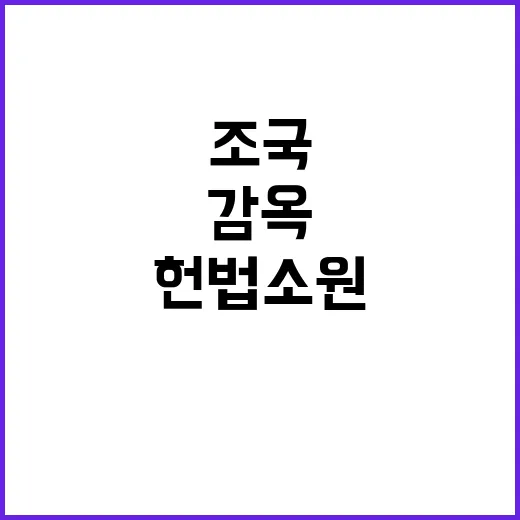 조국 감옥 혁신적 …