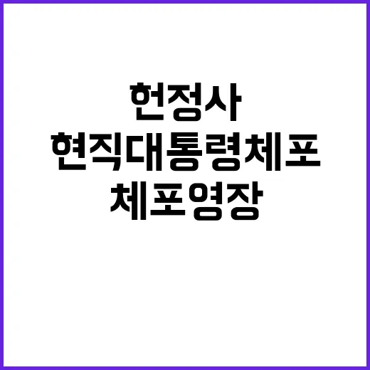 현직 대통령 체포영…