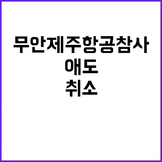 경북 동해안 해맞이 행사 취소 무안 제주항공 참사 애도