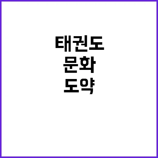 태권도 글로벌 문화…