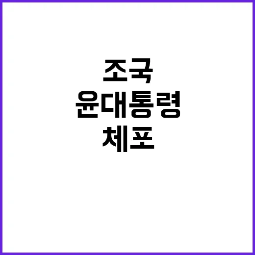 조국 헌법소원 윤 …