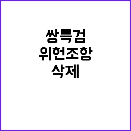 쌍특검 위헌조항 삭제 논의 핵심 쟁점은?