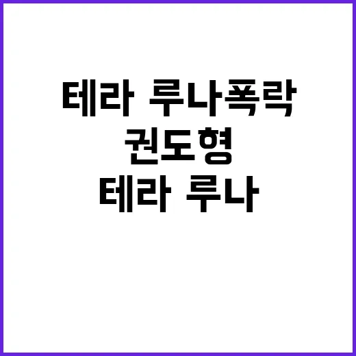 테라·루나 폭락 권…